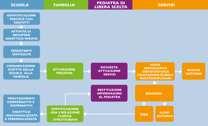 SCUOLA. Gli insegnanti osservano gli alunni e attivavano in caso di difficoltà gli interventi di potenziamento didattico-educativi e di recupero. Quando le difficoltà permangono nel tempo la scuola contatta la famiglia, descrive le abilità scolastiche dell’alunno/a e consiglia alla famiglia di rivolgersi al pediatra per una valutazione DSA. FAMIGLIA La famiglia condivide con il pediatra quanto riferito dalla scuola PEDIATRA Esaminata con la famiglia la situazione, il pediatra invia la famiglia ai servizi competenti per la valutazione DSA. SERVIZI PER LA CERTIFICAZIONE DSA La Certificazione di DSA viene rilasciata esclusivamente dai servizi età evolutiva delle ASL, dai centri di secondo livello: Aziende Ospedaliere (AO) Aziende Ospedaliere Universitarie (AOU) e dagli Istituti di Ricovero e Cura a Carattere Scientifico (IRCSS) e dai privati autorizzati ai sensi della DGR 32/2020. FAMIGLIA La famiglia comunicherà al pediatra l’esito della valutazione SCUOLA La famiglia consegnerà la certificazione alla scuola che dovrà protocollarla in ingresso. La scuola redigerà il Piano Didattico Personalizzato (PDP). Il piano didattico sarà costantemente monitorato per verificare l’efficacia delle misure adottate.